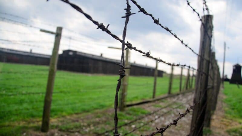 LGGRTC ieško naujo vadovo: reikalavimai – įkandami ne kiekvienam