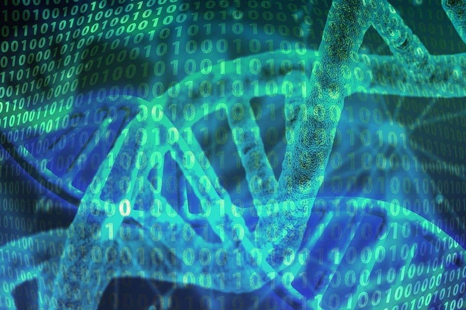 dna, heritage, helix, proteins, biology, chemistry, medicine, binary, code, zero, one, research, medical, science, genetically, dna strand, dna helix, discovery, development, health, coding, dna, dna, dna, dna, dna