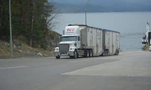 truck, lorry, white truck, cargo truck, big rig, nature, transportation, vehicle, highway, lake, driving, truck drivers, truckers, lorry driver, gray truck