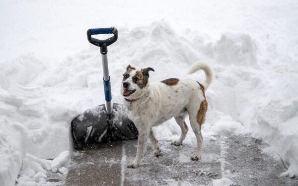 Sniegas prie daugiabučių: šokiruojanti tiesa, kas iš tikrųjų privalo jį valyti – ne tas, ką manėte