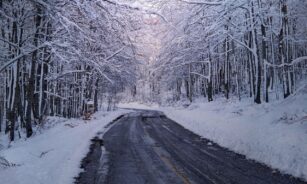 trees, forest, winter, snow, season, path, travel, scenic, outdoors, haze, landscape, nature, winter, winter, winter, winter, winter, snow, snow