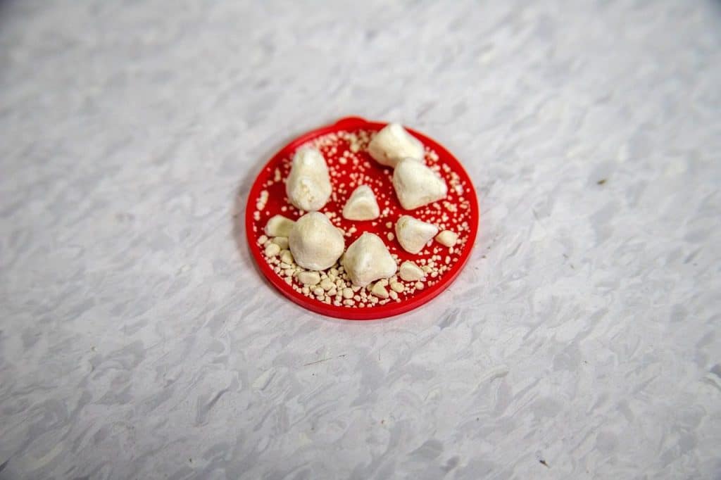 urinary stones, nature, bladder, urology, veterinary, surgery, struvite, specimen, pain, urinary tract, sciatica, difficulty in urinating, dog, cat, pet, animal, gray pain