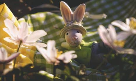 easter, beautiful flowers, easter bunny, decoration, flowers, flower wallpaper, spring, hare, bunny, figure, flower background, nature, cute, decorative, easter collection, meadow, closeup