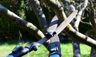 pruning shears, hedge trimmer, nature, tree cutter, tree, garden