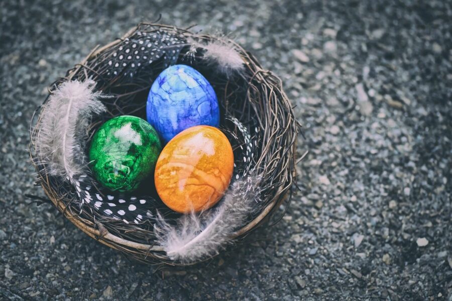easter eggs, nature, easter nest, easter, decoration, easter festival, spring, easter theme, cute, easter decoration, deco, easter greetings, coloured, bird nest, nest, multicoloured, colored, colorful eggs