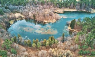 plociczno, poland, suwałki region, suwalki, lake, nature, landscape, summer, water, tourism, szelment, tree, forest, fields, cookies, sky, natural, trees, green, travels, suwalki, suwalki, suwalki, suwalki, suwalki, fields, cookies
