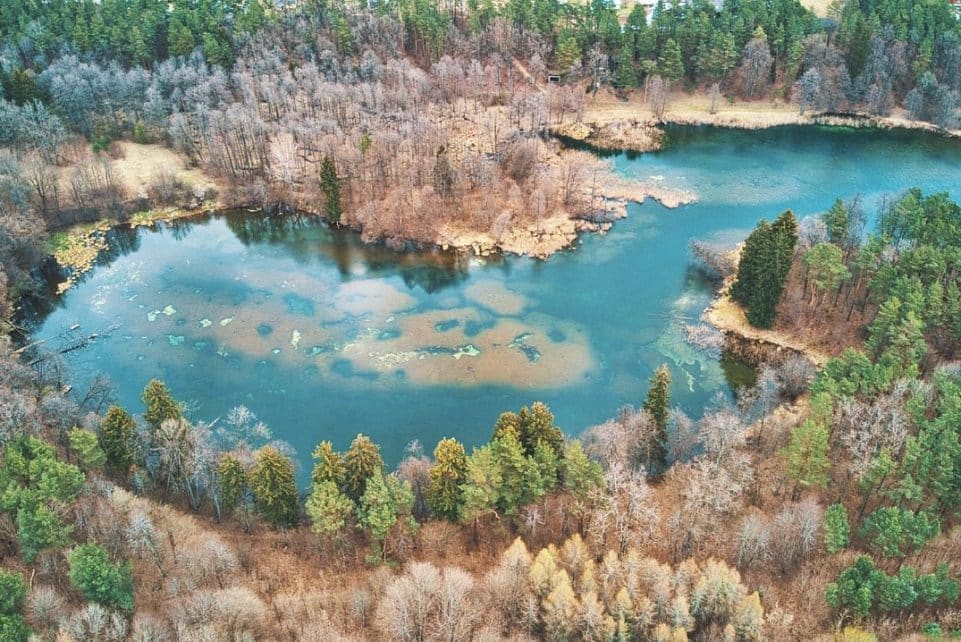 plociczno, poland, suwałki region, suwalki, lake, nature, landscape, summer, water, tourism, szelment, tree, forest, fields, cookies, sky, natural, trees, green, travels, suwalki, suwalki, suwalki, suwalki, suwalki, fields, cookies