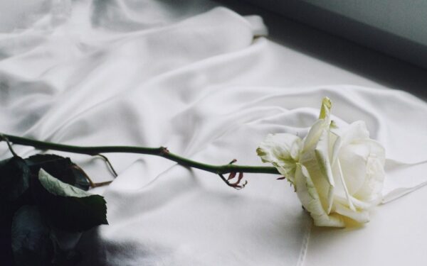 Dauguma daro šią klaidą: kaip išsaugoti rožes gyvas dvigubai ilgiau?