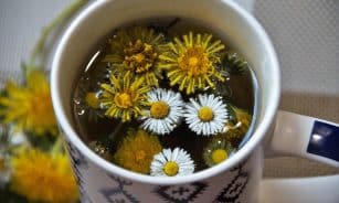 tea, herbal, dandelion, daisy, detox, vernal, freshly, extract, health, drink, organism, strengthening, cleanse, weed, dandelion, extract, extract, extract, cleanse, cleanse, cleanse, cleanse, cleanse
