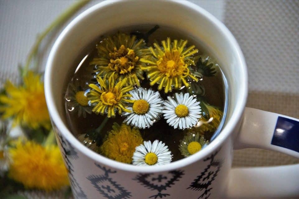 tea, herbal, dandelion, daisy, detox, vernal, freshly, extract, health, drink, organism, strengthening, cleanse, weed, dandelion, extract, extract, extract, cleanse, cleanse, cleanse, cleanse, cleanse