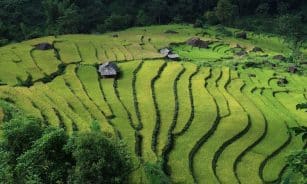 landscape, terraced fields, vietnam, vietnam rice, field, vietnam landscape, vietnam, vietnam, vietnam, vietnam, vietnam