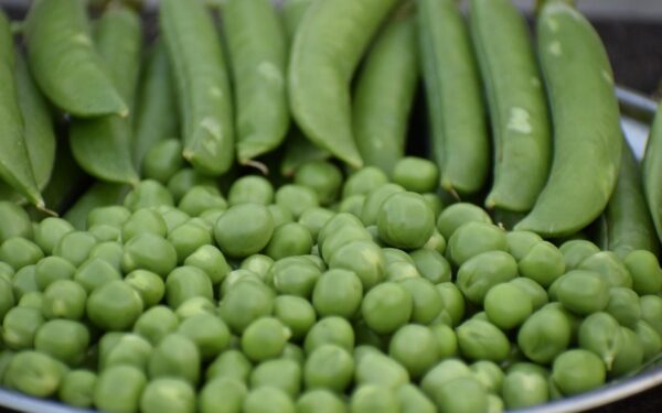 Geriausios žirnienės receptas: štai kokia viena klaida dažniausiai sugadina visą puodą