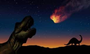 dinosaurs, asteroid, nature, stars, prehistoric, extinction, night sky, universe, orbit, sky, disaster