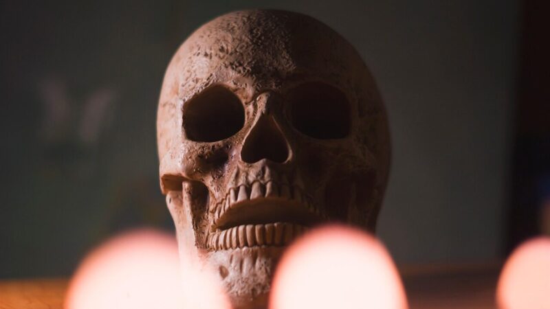 Tikėjome melu, bet atmetėme tiesą: sužinokite, kaip archeologų klaidos apkvailino pasaulį