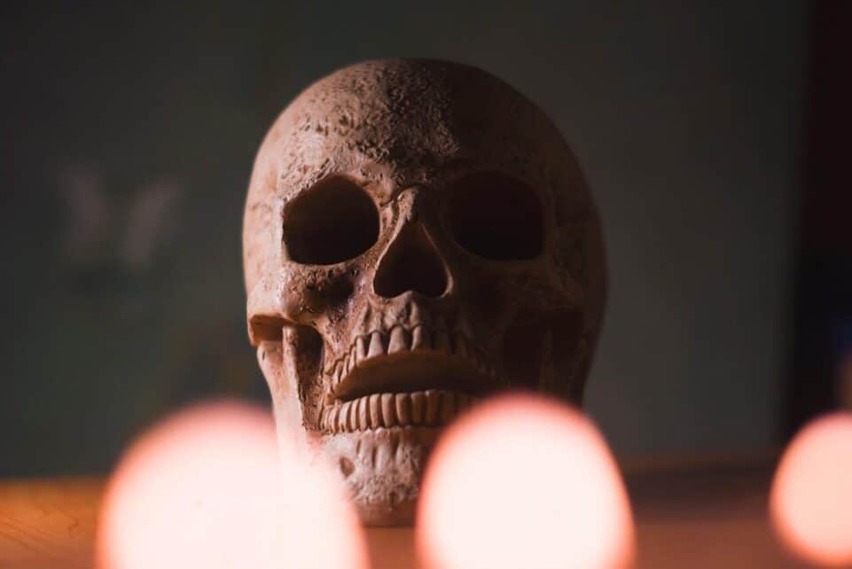 skull, head, halloween, skeleton, bone, scary, creepy, gothic, dark