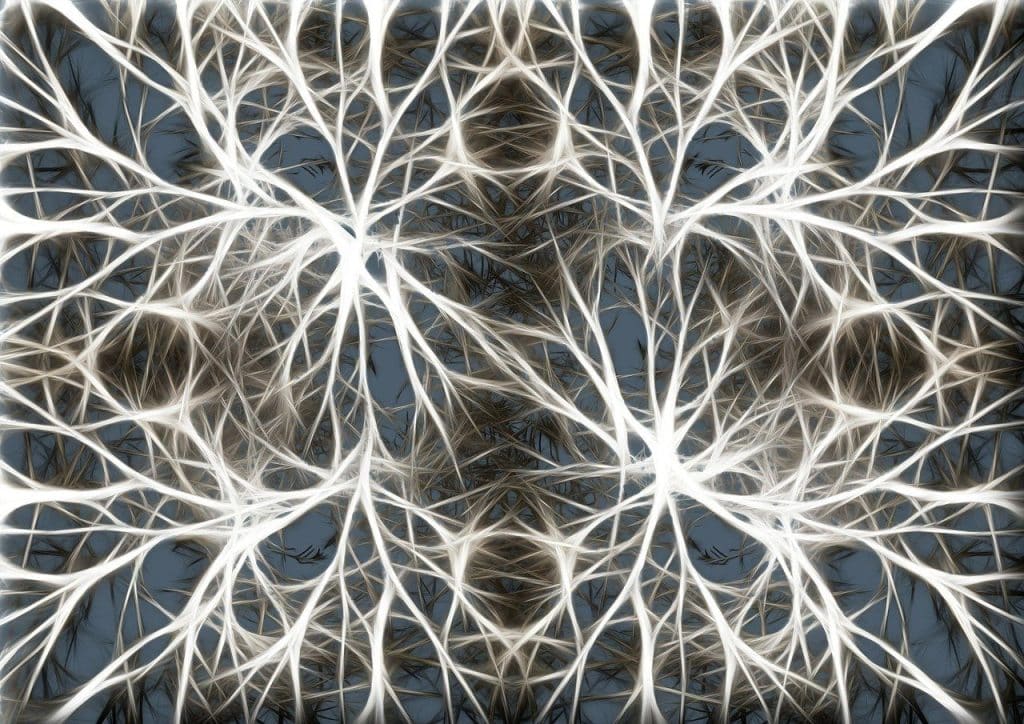 neurons, brain cells, brain structure, brain, network, wattle, meshes, yarn, tissue, meshwork, entanglement, knot, web, ribbon, loop, neurons, neurons, neurons, brain, brain, brain, brain, brain