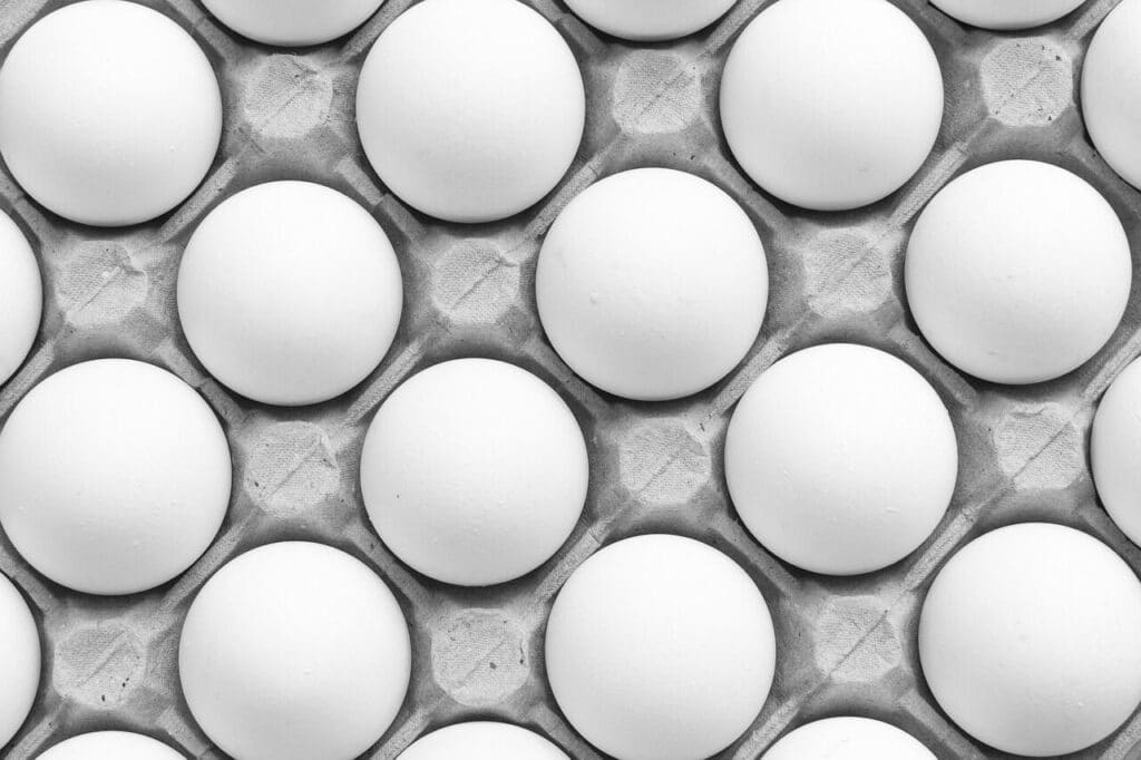 eggs, food, egg tray, pattern, white eggs, chicken eggs, organic, healthy, closeup, eggs, eggs, eggs, eggs, eggs, egg tray