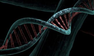 dna, biological, helix, analysis, study, genetic, deoxyribonucleic acid, dna, dna, dna, dna, dna