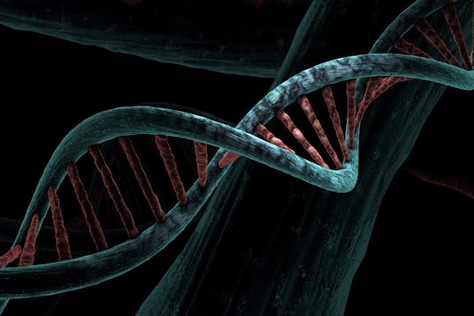 dna, biological, helix, analysis, study, genetic, deoxyribonucleic acid, dna, dna, dna, dna, dna