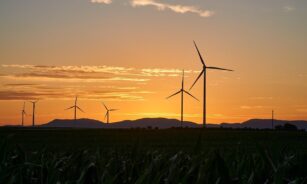 pinwheels, energy, nature, electricity, renewable, wind energy, sunset, wind farm, dusk, trees, landscape