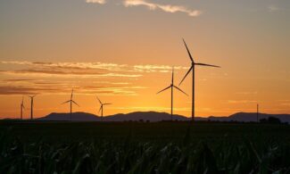 pinwheels, energy, nature, electricity, renewable, wind energy, sunset, wind farm, dusk, trees, landscape