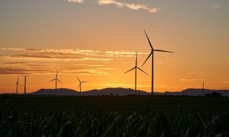 pinwheels, energy, nature, electricity, renewable, wind energy, sunset, wind farm, dusk, trees, landscape