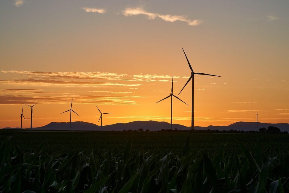 pinwheels, energy, nature, electricity, renewable, wind energy, sunset, wind farm, dusk, trees, landscape