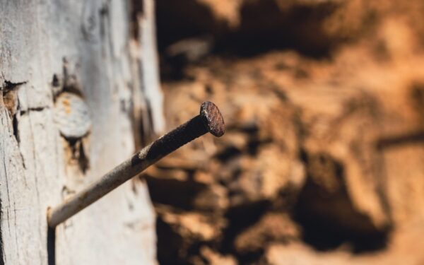 Obelų lapai gelsta? Surūdijusios vinys darže gali išgelbėti jūsų būsimą derlių