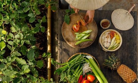 woman, cooking, vietnamese cuisine, vietnamese woman, food, vietnamese food, flat lay, cooking, cooking, cooking, cooking, cooking, food, food, food, food, vietnamese food