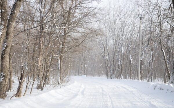 Kelininkai paskelbė pavojų: artėja pūga, kokios Lietuva seniai nematė – ką būtina žinoti vairuotojams
