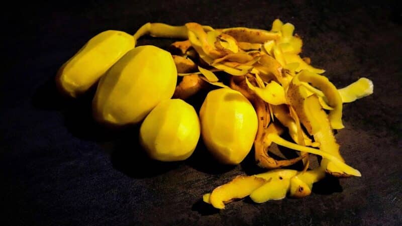 Bulvės ne tik valgymui: mokslas paaiškina, kaip šis produktas gydo net varginantį kosulį