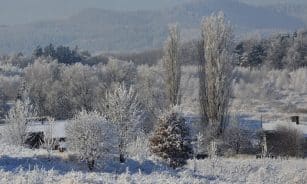winter, poland, trees, nature, village, snow, landscape