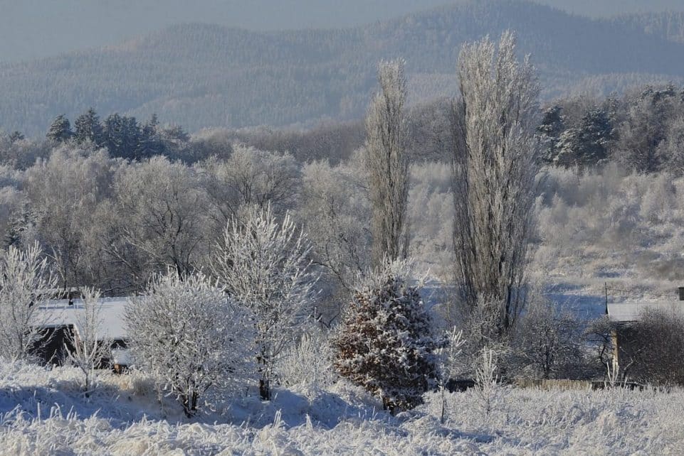 winter, poland, trees, nature, village, snow, landscape