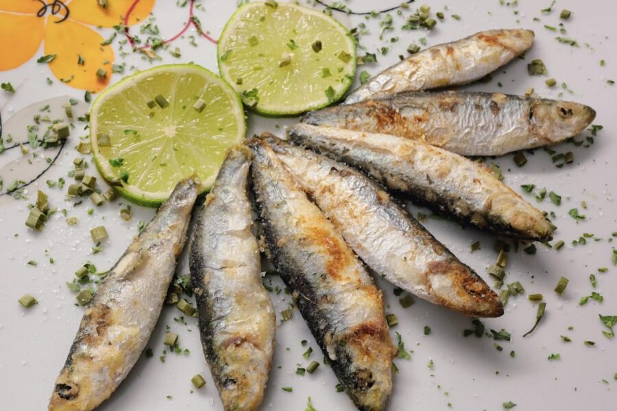 fish, sprats, nature, sardines
