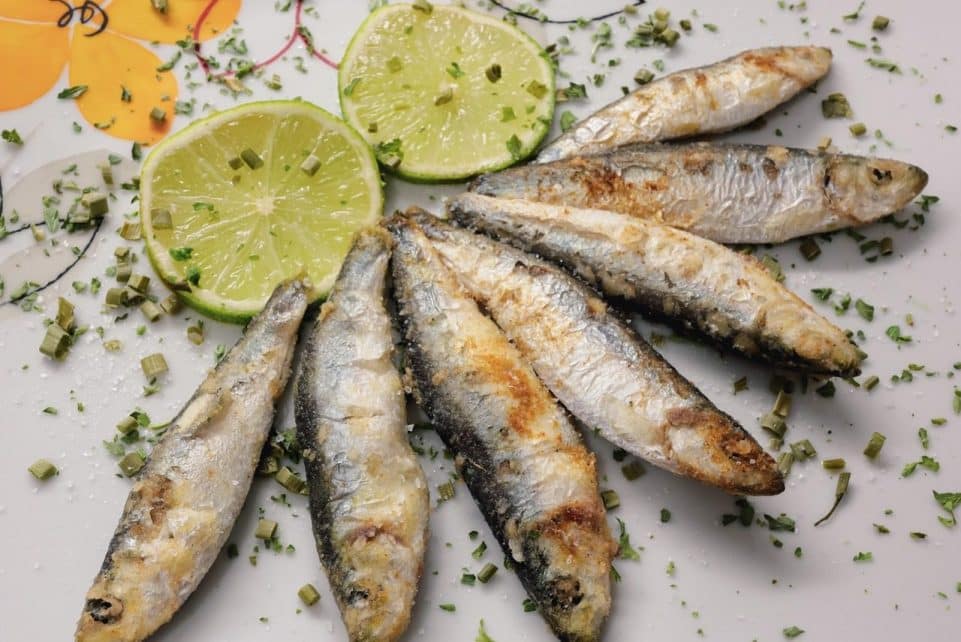 fish, sprats, nature, sardines