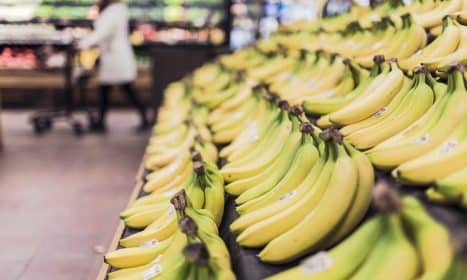 bananas, fruits, food, grocery store, supermarket, shopping, produce, organic, grocery shopping, fruit stand, yellow bananas, bananas, bananas, bananas, bananas, grocery store, grocery store, grocery store, supermarket, supermarket, supermarket, supermarket, supermarket, shopping, shopping, shopping, shopping