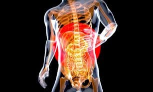 stomach, anatomy, pain, health, x-ray, internal organs, digestive, gut, man, people, digestion, intestine, medical, skeleton, 3d, art, stomach, stomach, stomach, stomach, digestive, digestive, gut, gut, gut, digestion, digestion, digestion, digestion, digestion, intestine