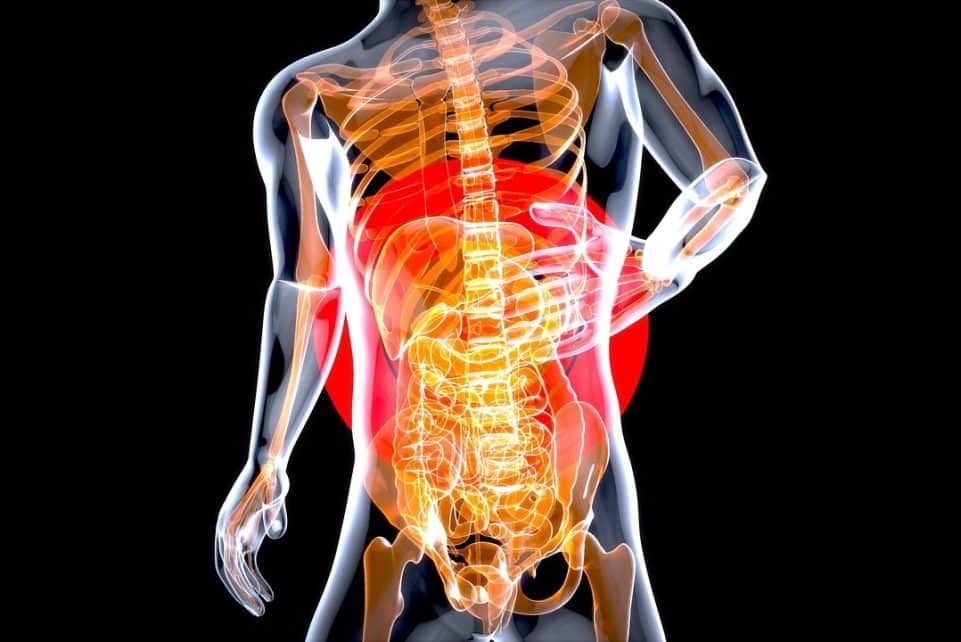 stomach, anatomy, pain, health, x-ray, internal organs, digestive, gut, man, people, digestion, intestine, medical, skeleton, 3d, art, stomach, stomach, stomach, stomach, digestive, digestive, gut, gut, gut, digestion, digestion, digestion, digestion, digestion, intestine