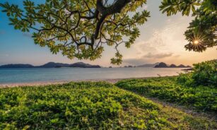 sunset, sand, beach, islands, leaf, nature background, subtropical, okinawa, japan, beautiful nature, landscape, hd wallpapers, nature, hd wallpaper, nature wallpaper