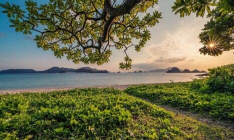 sunset, sand, beach, islands, leaf, nature background, subtropical, okinawa, japan, beautiful nature, landscape, hd wallpapers, nature, hd wallpaper, nature wallpaper