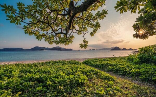 Kodėl vis daugiau žmonių bijo gamtos – ir ką tai reiškia jūsų sveikatai