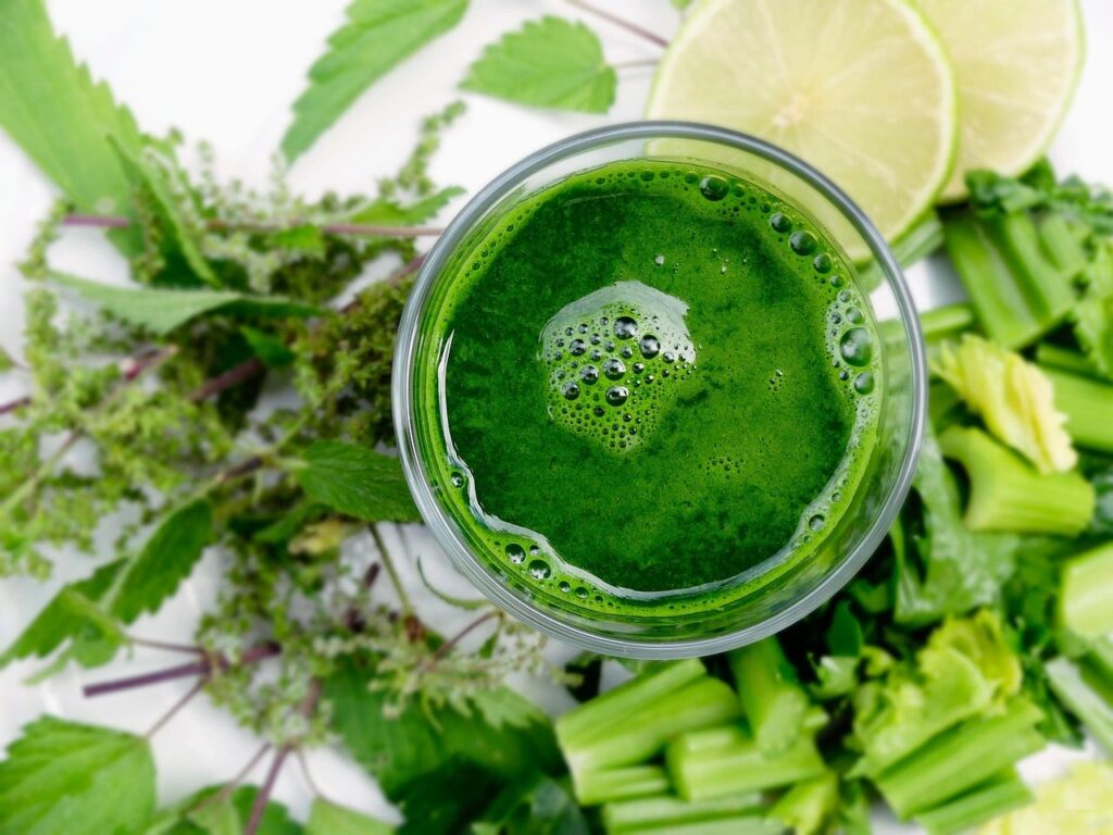 smoothie, vegetable smoothie, healthy smoothie, vegetable juice, healthy, juice, drink, refreshment, detox, colon, detoxify, vitamins, immune system, virus, smoothie, smoothie, smoothie, smoothie, smoothie, juice, juice, juice, detox, detox, detox, immune system