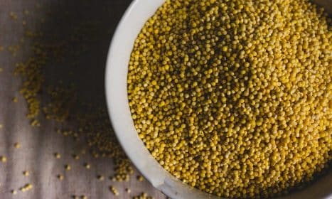 millet, groats, corn, food, cereal, millet, millet, millet, millet, millet