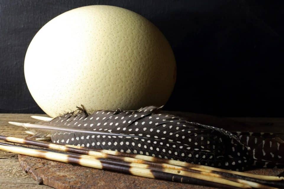 ostrich egg, shell, large, feathers, guinea fowl, spotted, porcupine quills, africa, ostrich egg, ostrich egg, ostrich egg, ostrich egg, ostrich egg, guinea fowl