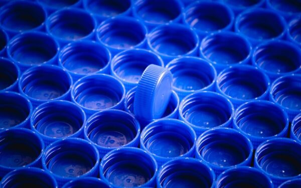 Nebemeskite butelių kamštelių: 3 būdai, kaip šis paprastas daiktas padės sutaupyti darže