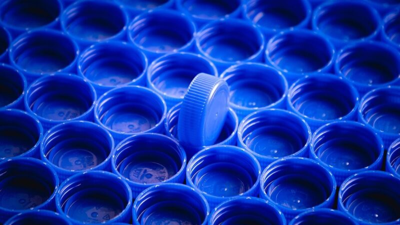 Nebemeskite butelių kamštelių: 3 būdai, kaip šis paprastas daiktas padės sutaupyti darže