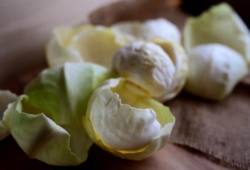 white cabbage, cabbage, vegetables, cabbage leaves