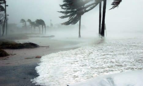 key west, florida, hurricane, dennis, storm, surge, water, raining, wind, blowing, dangerous, sea, nature, ocean, palm trees, beach, weather