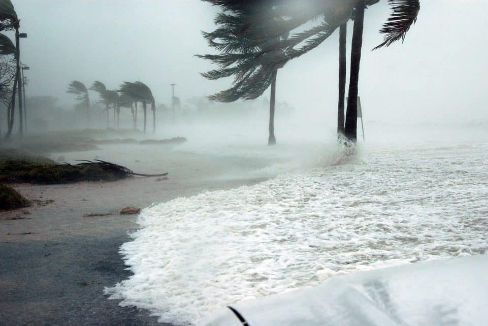 key west, florida, hurricane, dennis, storm, surge, water, raining, wind, blowing, dangerous, sea, nature, ocean, palm trees, beach, weather