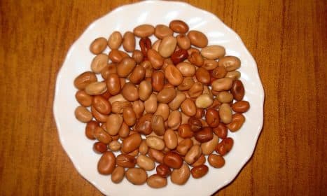 fava beans, food, plate, presentation, close-up, macro, brown presentation, fava beans, fava beans, fava beans, fava beans, fava beans